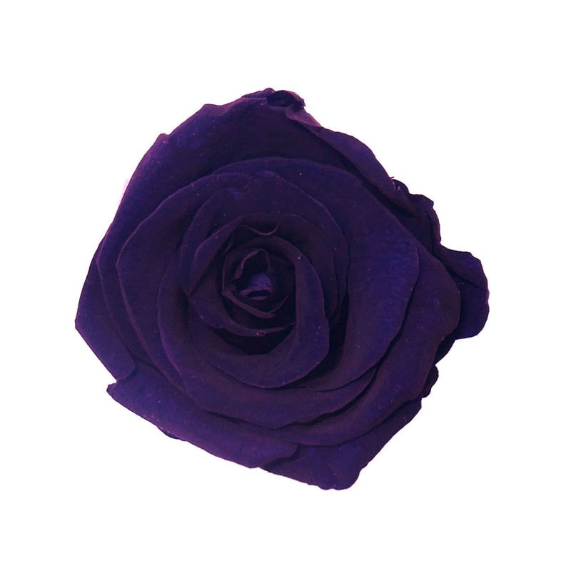 col-dark-purple